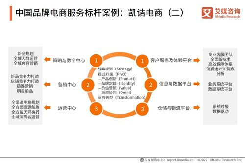 2022年中國品牌電商服務行業研究報告 信息咨詢服務深度解析
